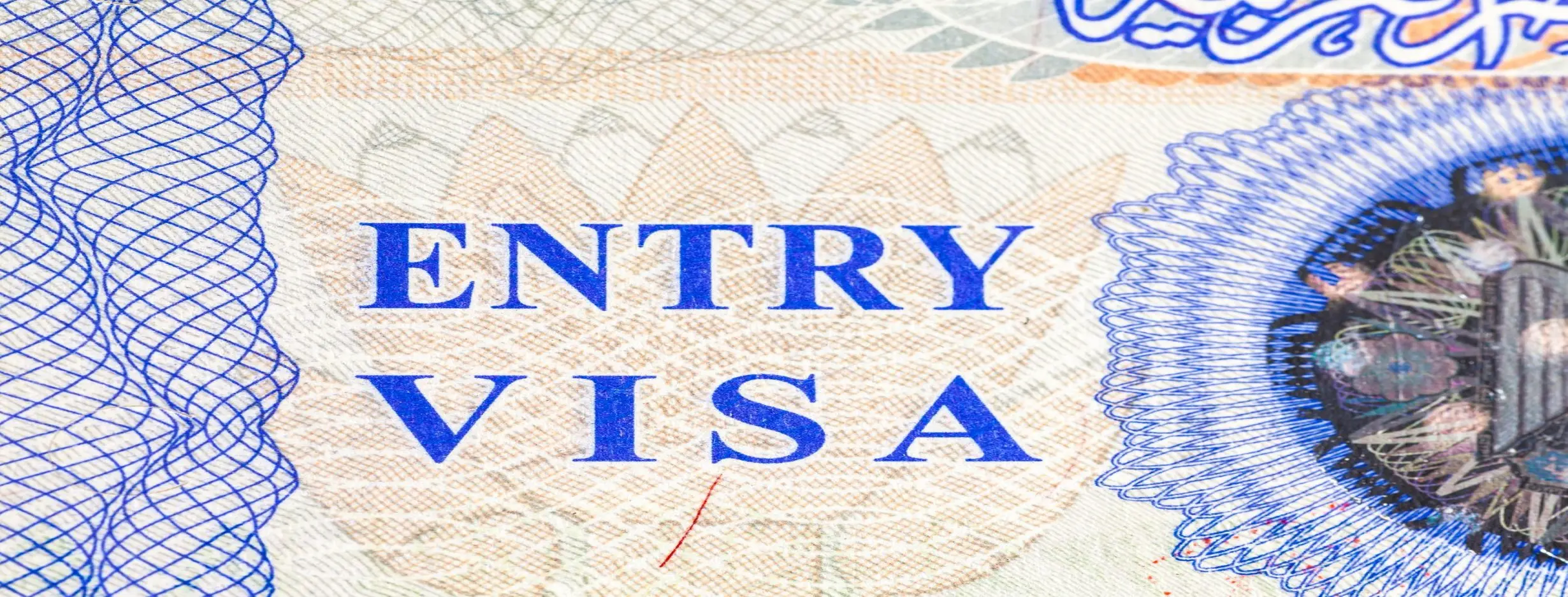 Image for Visa Benefits